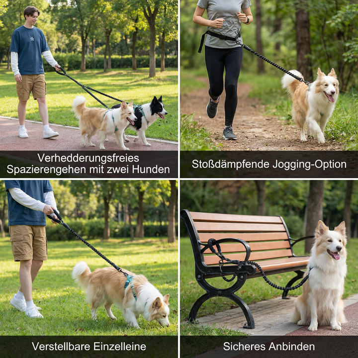 Hundezubehör: Stoßdämpfende Doppelleine für zwei Hunde, bietet Komfort und Sicherheit.