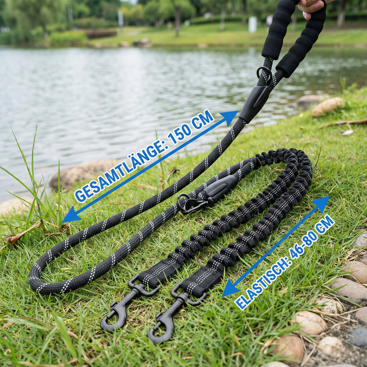 Flexible Doppelleine, verhedderungsfrei, für zwei Hunde beim Spaziergang. Optimiertes Gassi gehen.