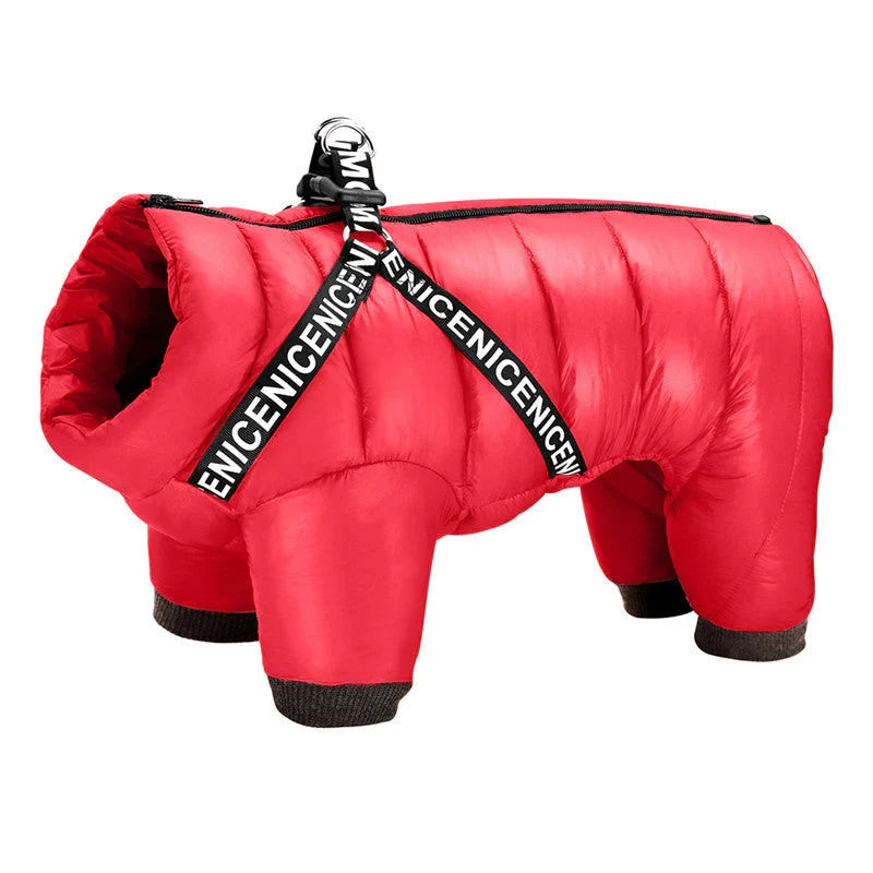 Rückenansicht eines Hundes mit Wintermantel und Leinenbefestigung, bereit für den Outdoor-Spaziergang.