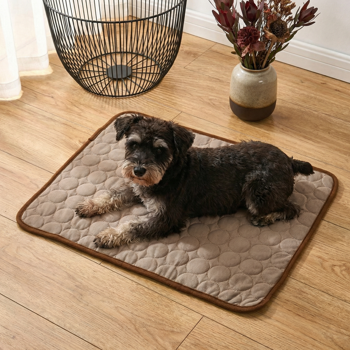 Hundekühlmatte bietet effektiven Hitzeschutz & Abkühlung für Hunde. Ideal gegen Überhitzung im Sommer.