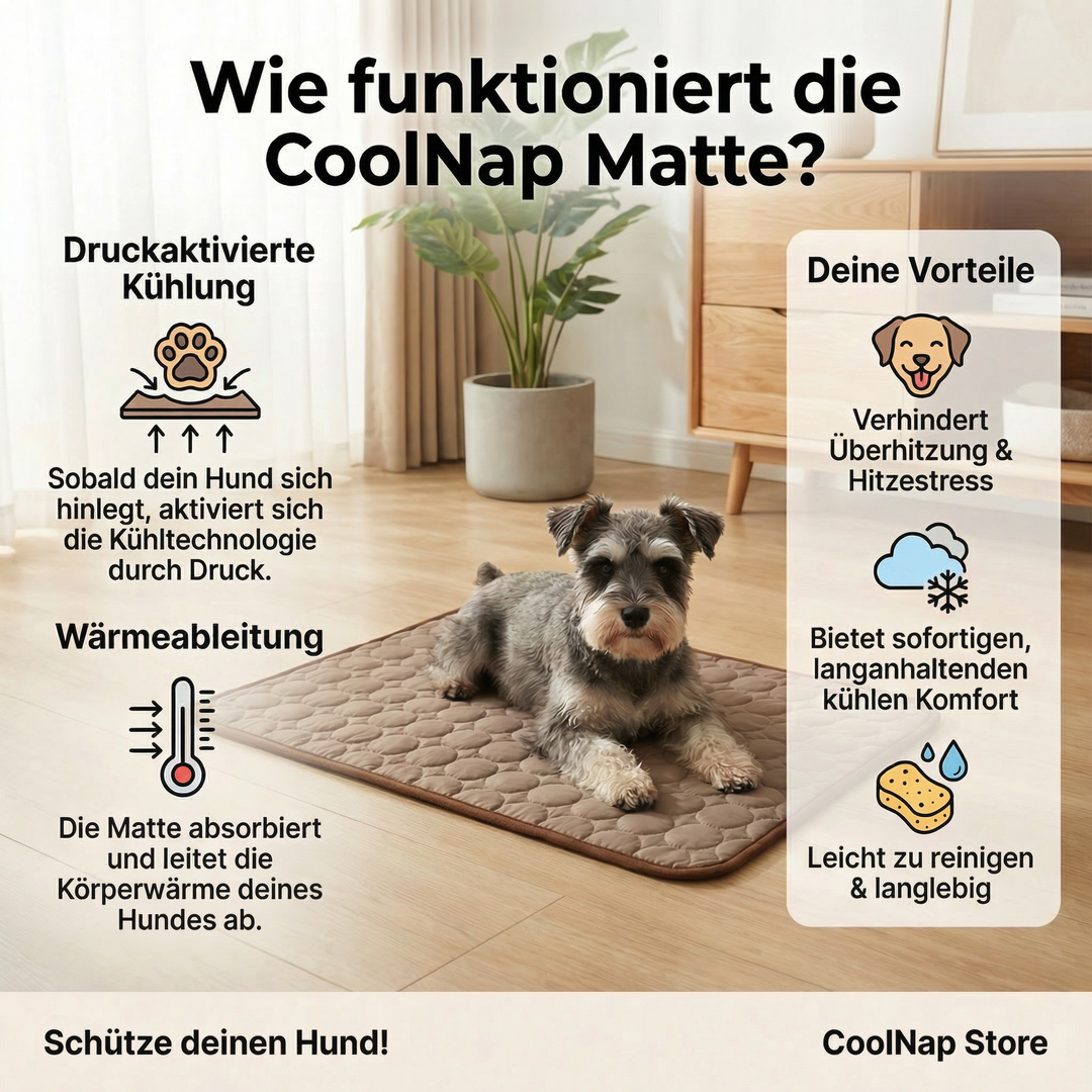 Entspannter Hund liegt auf erfrischender Kühlmatte. Optimales Hundebett für Abkühlung & Komfort an heißen Tagen.