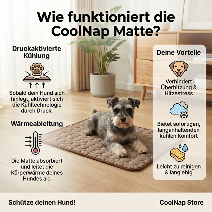 Entspannter Hund liegt auf erfrischender Kühlmatte. Optimales Hundebett für Abkühlung & Komfort an heißen Tagen.