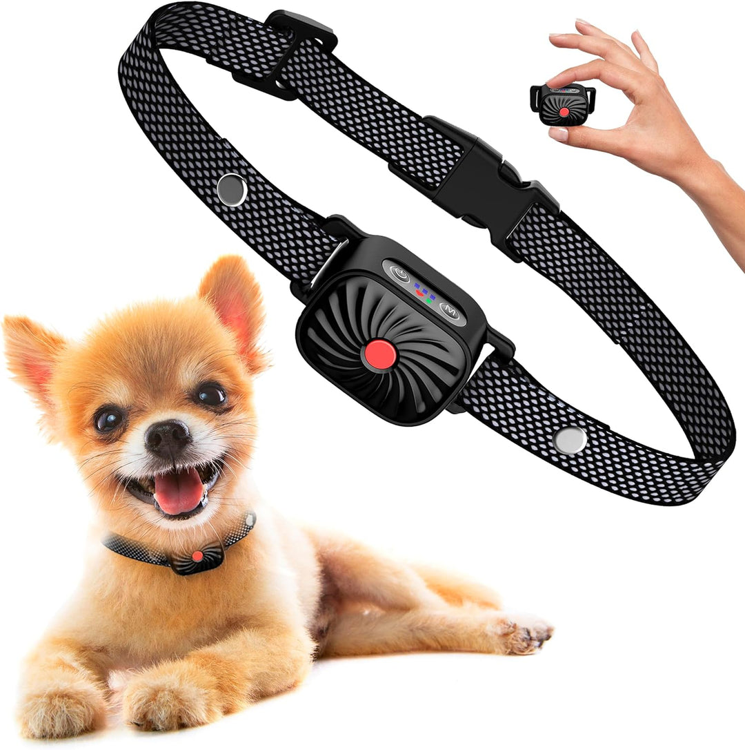 Antibellhalsband für kleine Hunde & Welpen. Sanfte Vibration, wasserdicht für effektives Hundetraining.