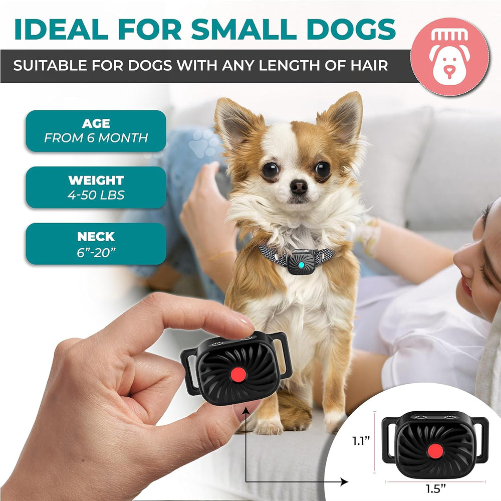Komfortables Antibellhalsband für kleine Hunde. Leichtes, wasserdichtes Design für sanfte Bellkontrolle.