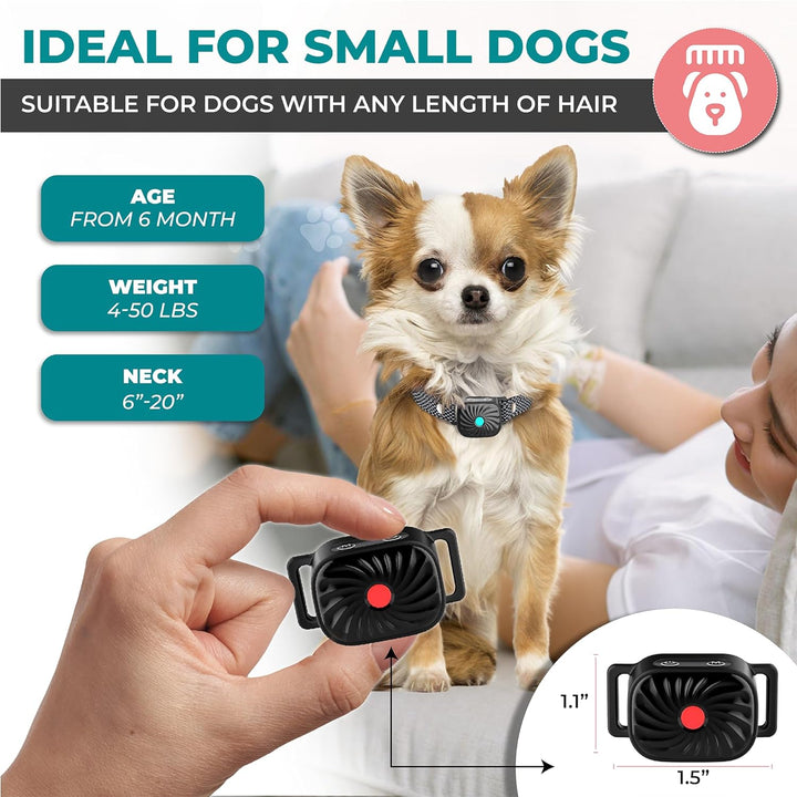 Komfortables Antibellhalsband für kleine Hunde. Leichtes, wasserdichtes Design für sanfte Bellkontrolle.
