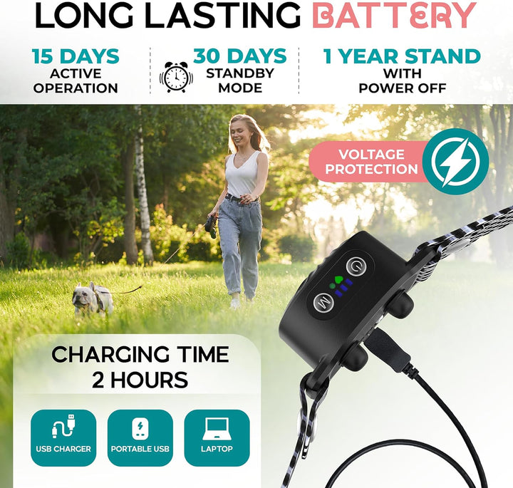Antibellhalsband für Welpen & kleine Hunde. Fördert ruhiges Verhalten mit sanfter, wasserdichter Technologie.
