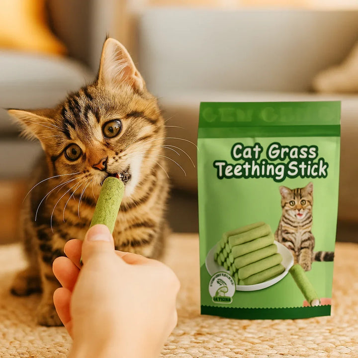 Gesunde Katzengras Sticks als Leckerli für Katzen: Zahnpflege, Verdauungshilfe & Haarballenreduzierung in einem.