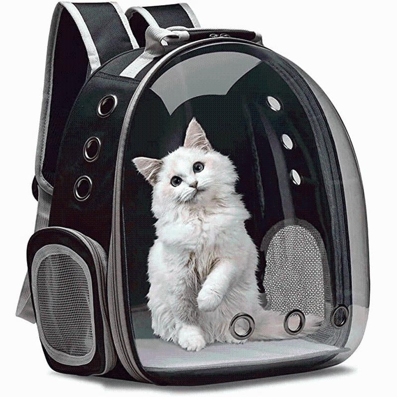 Moderner Tierrucksack mit Panoramafenster für Katzen, bequem & belüftet unterwegs.