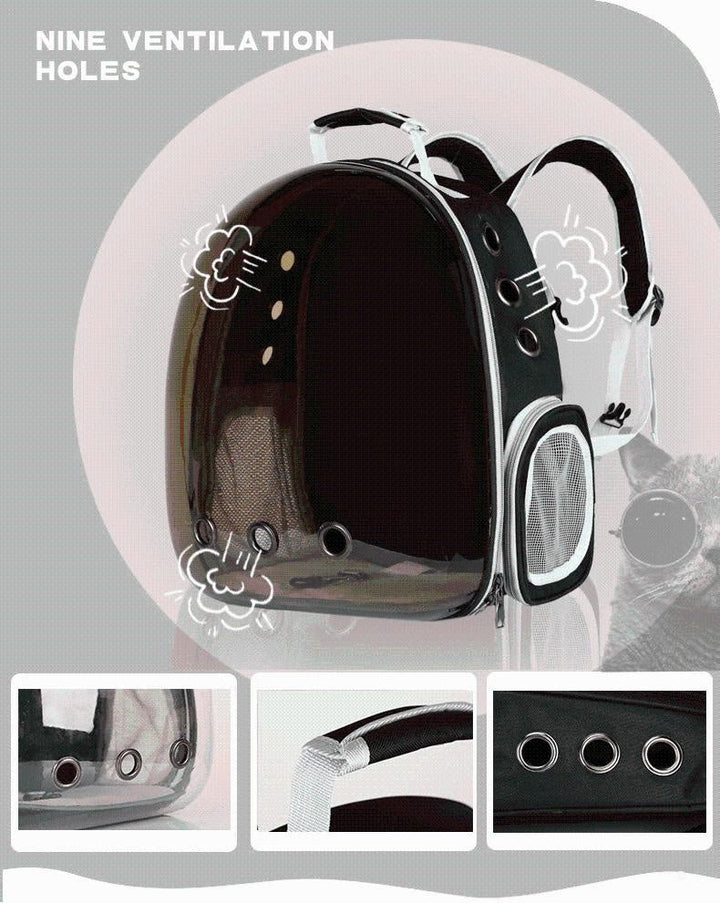 Sicherer Tierrucksack mit Sichtfenster für kleine Katzen, ideal für Spaziergänge & Vet-Besuche.
