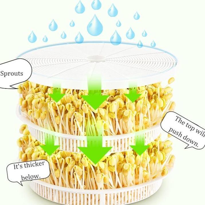 Küchengerät zur Sprossenzucht: Einfach und schnell frische Bio-Sprossen für Salate.