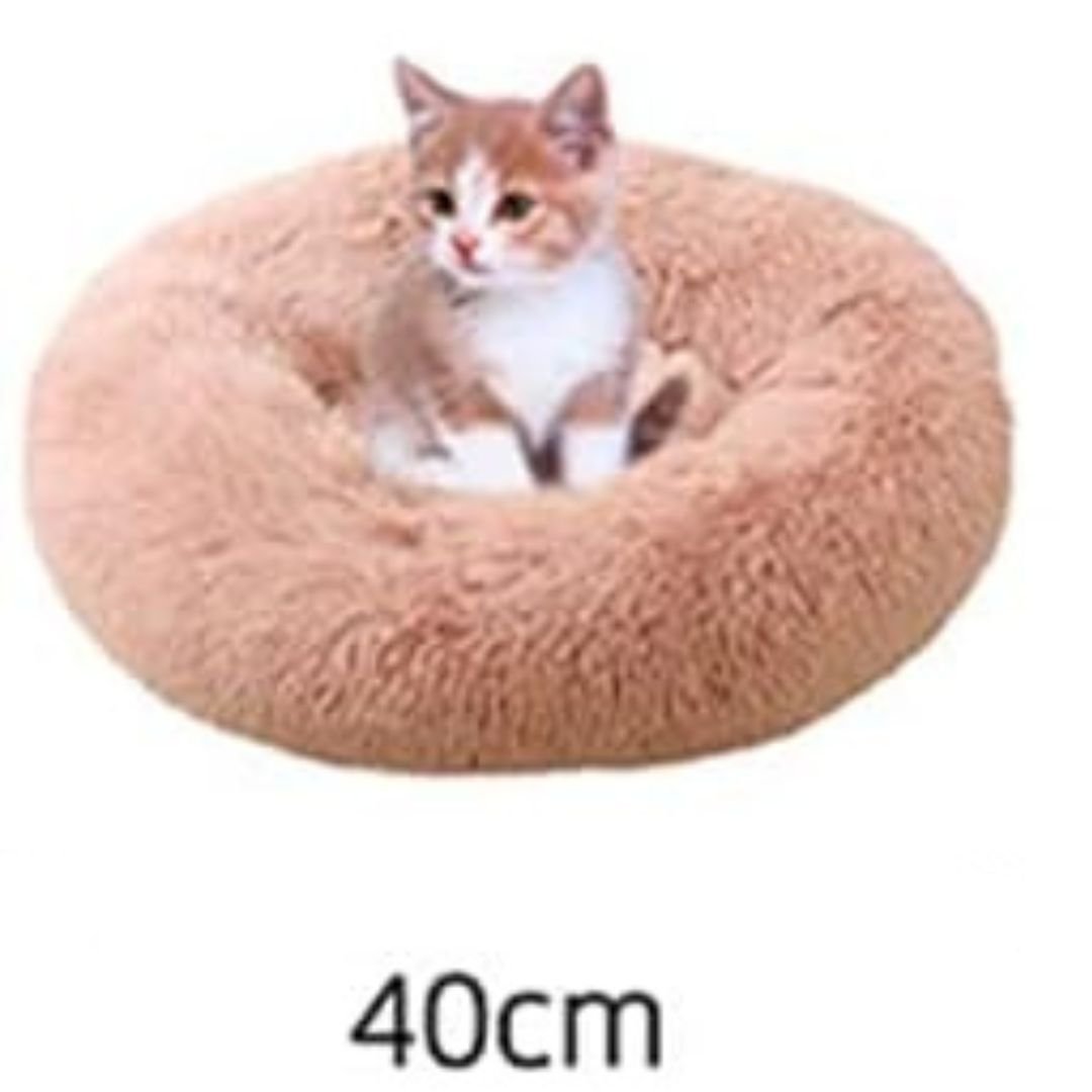 Warmes, weiches Kuschelbett für Katzen, perfekt für kalte Tage und entspannende Nickerchen.