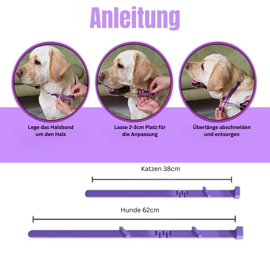 Pheromon Beruhigungs-Halsband für Hunde und Katzen zur natürlichen Angstlösung und Entspannung des Haustieres.