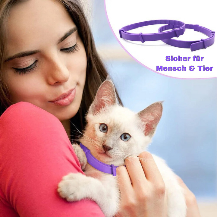 Beruhigendes Pheromon-Halsband für Hunde & Katzen zur Reduzierung von Stress in neuen Umgebungen.