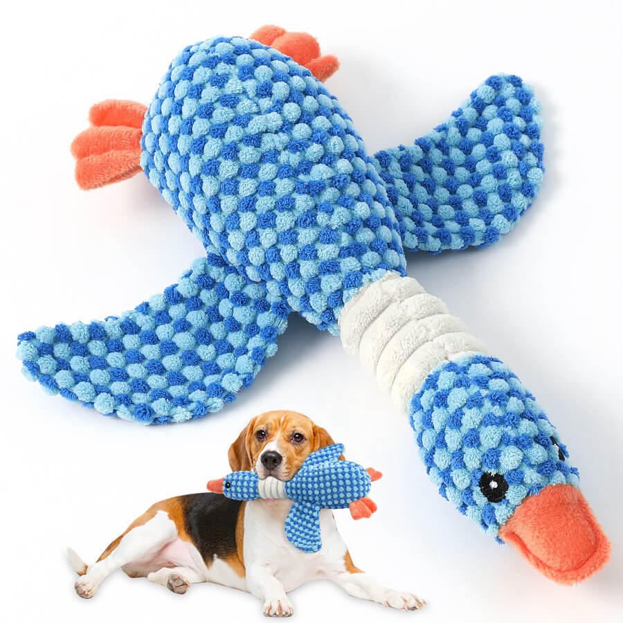 Quietsch-Vogel Hundespielzeug, ideal für starke Kauer, fördert Aktivität und bietet Zahnpflege für Hunde.