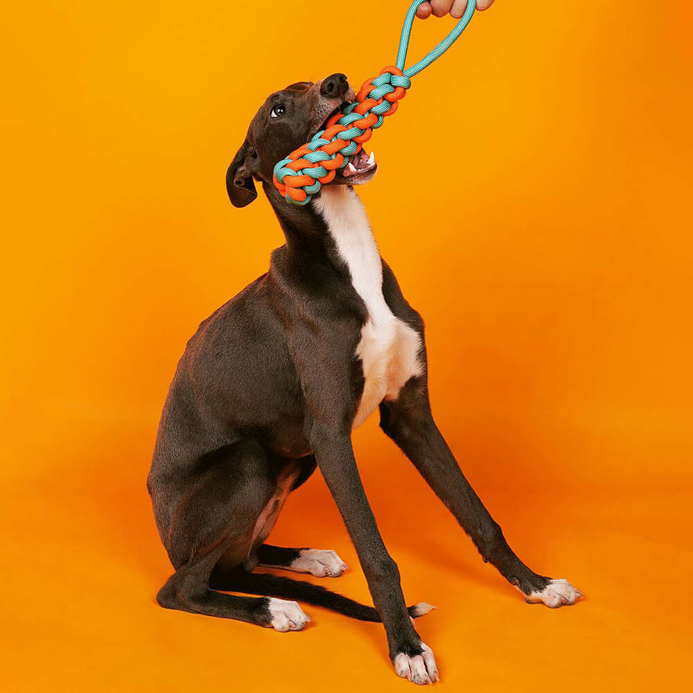 Robustes Seilspielzeug für Hunde, vielseitiges Kauspielzeug zur Zahnpflege und Energieabbau.