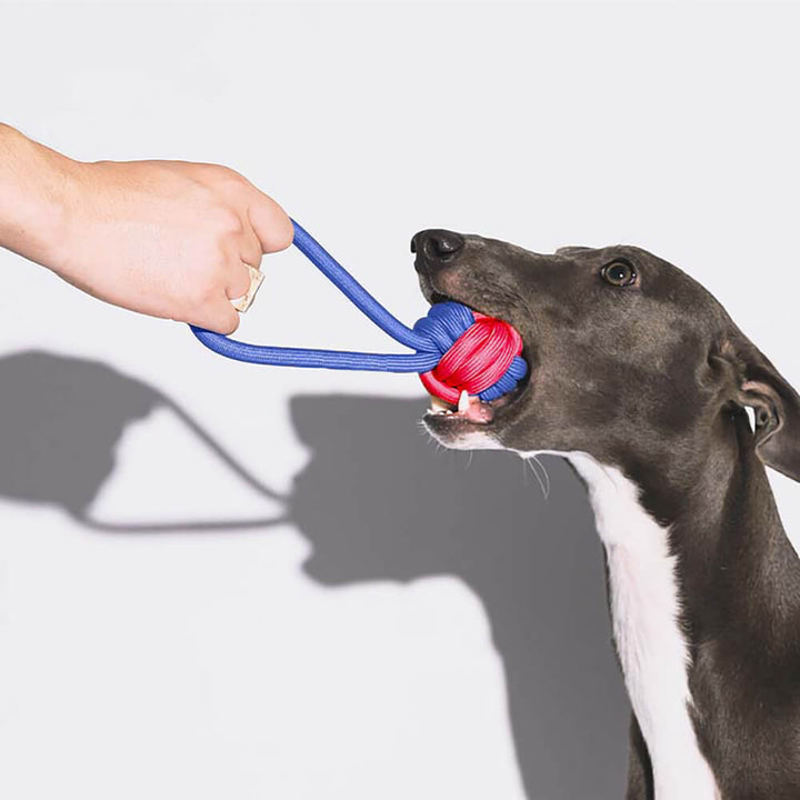 Zahnfreundliches Hundespielzeug aus strapazierfähigem Polypropylen-Seil, perfekt für Welpen und erwachsene Hunde.