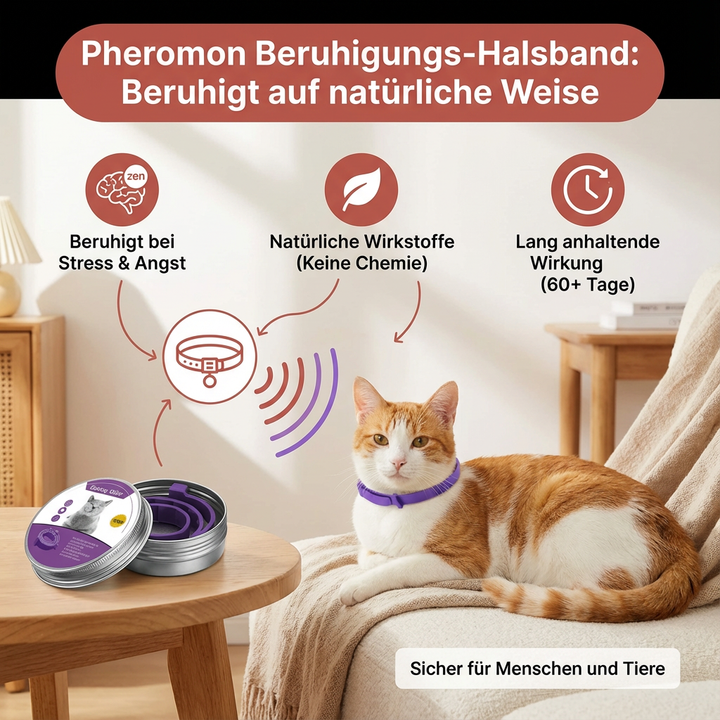 Glücklicher Hund trägt beruhigendes Pheromon-Hundehalsband zur Stressreduktion und Entspannung. Tierbedarf gegen Angst.