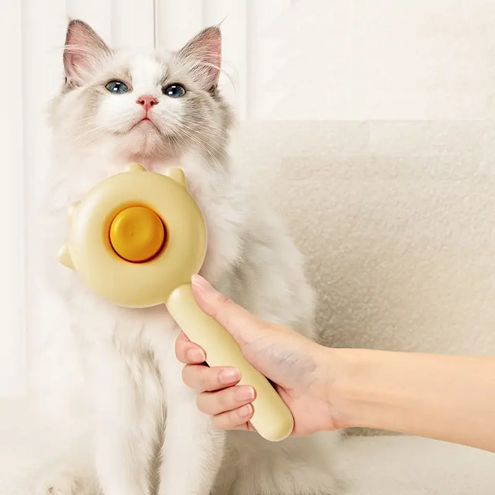 Sanfte Katzenbürste für glänzendes Fell. Ideale Fellpflege & Haarentfernung für entspannte Katzen.