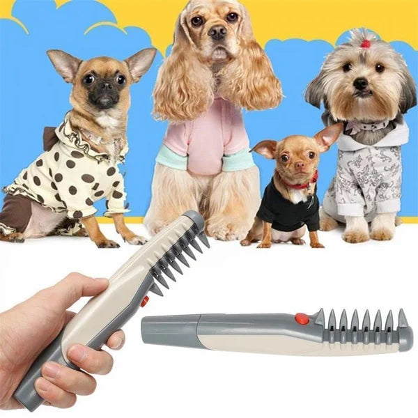 Elektrischer Haustier Trimmer für sanfte Fellpflege bei Hunden & Katzen; geräuscharm & kabellos.