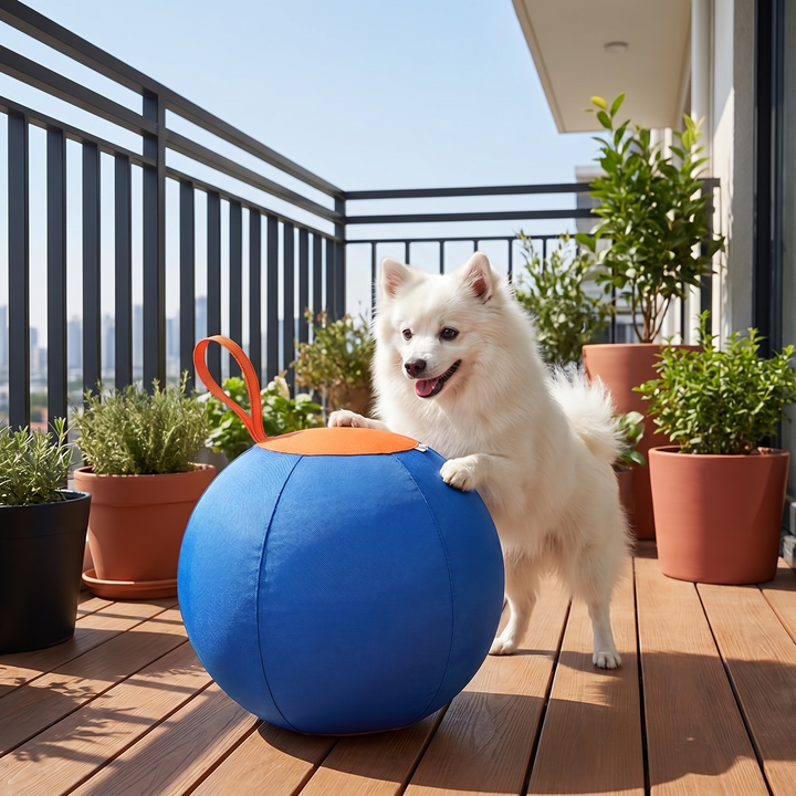 Begeisterter Hund spielt mit robustem Hüteball. Interaktives Outdoor Hundespielzeug für viel Bewegung & Spaß.