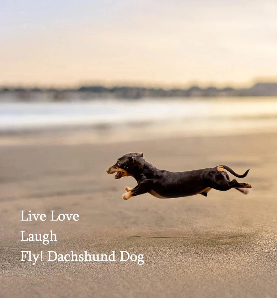 Glänzender Dackel Silberring, verstellbar, Damen-Hundeschmuck aus 925 Sterlingsilber, Geschenkidee.