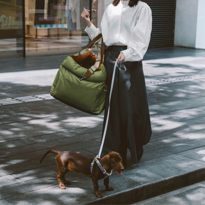 Vielseitiger Hundeautositz, ideal für kurze Fahrten oder lange Reisen mit Hund.