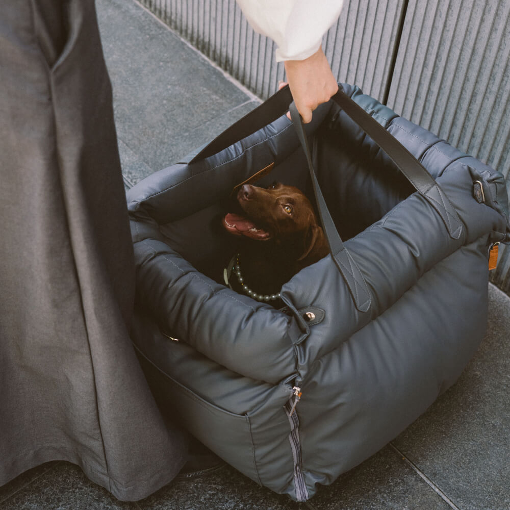 Sicherer & gemütlicher Autositz für kleine Hunde, ermöglicht freie Sicht nach draußen.
