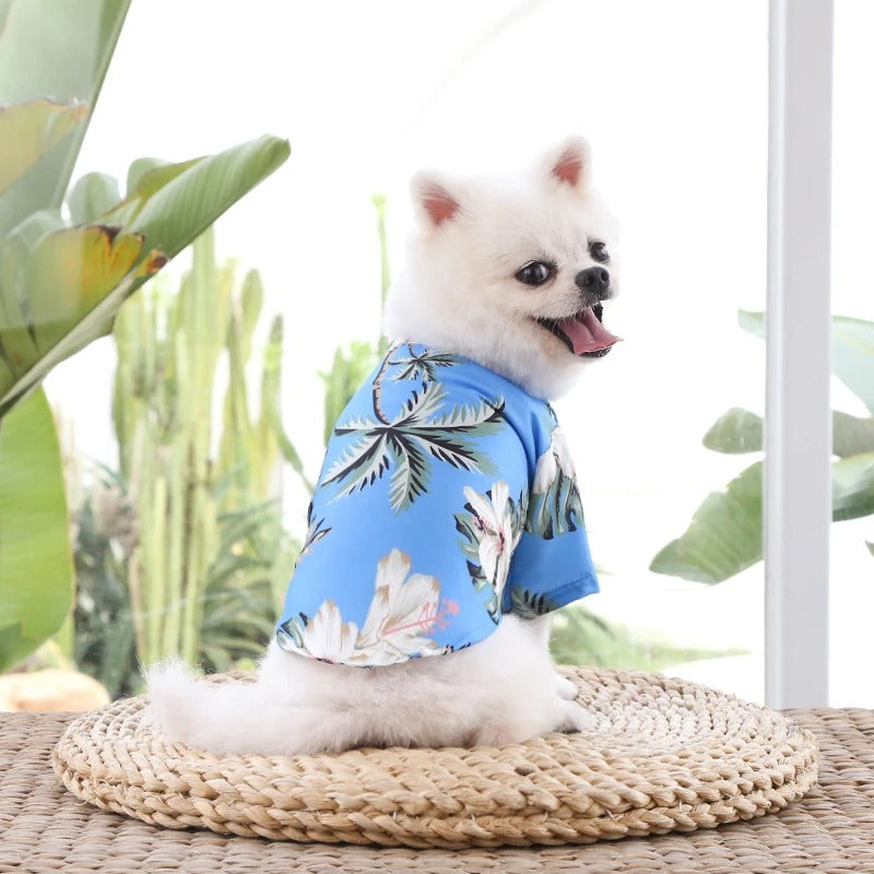 Lustiges Hunde-Hawaiihemd, leichtes Sommer-Outfit für kleine & mittelgroße Hunde, bunt bedruckt.