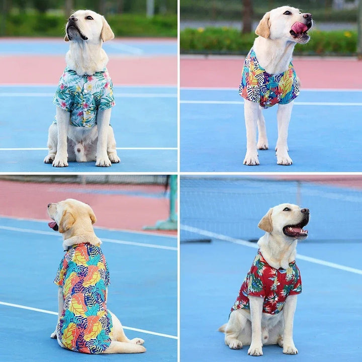 Blaues Hawaii-Hemd für Hunde mit tropischem Muster, perfekt für Sommer & Urlaub am Strand.