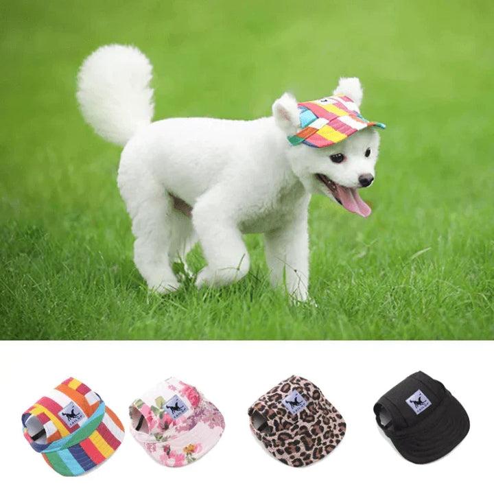Gelbe Hunde-Kappe, UV-Schutz, atmungsaktiv, Tier Accessoire für kleine & mittelgroße Hunde am Strand.