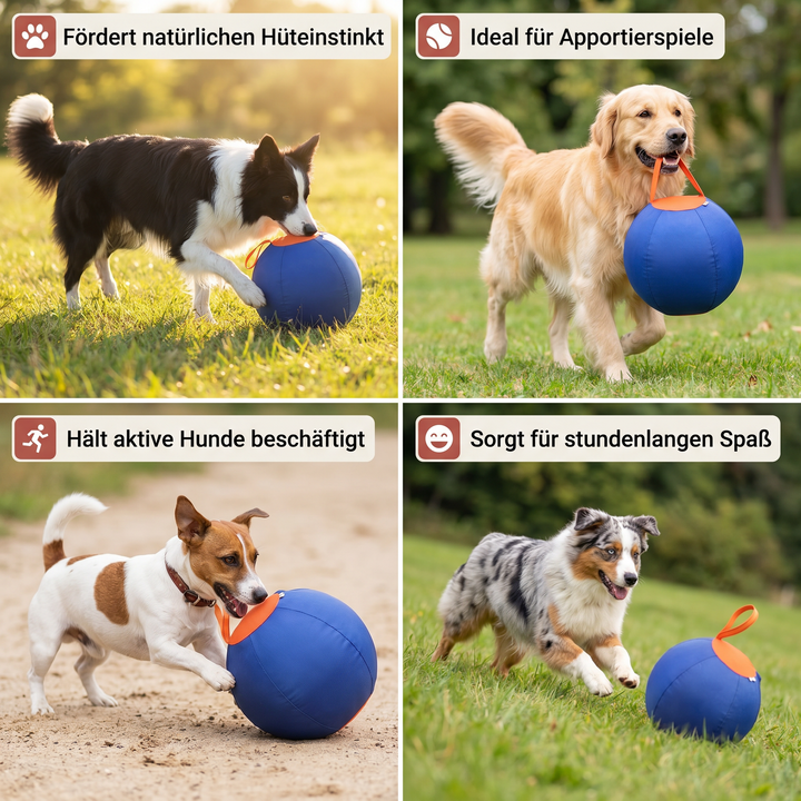 Interaktiver Hüteball für Hunde, erhältlich für große & kleine Hunde. Robustes Aktivitätsspielzeug für Training.