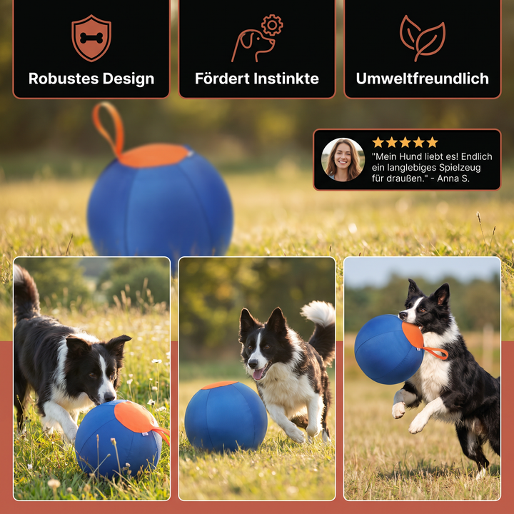 Detailaufnahme des robusten, langlebigen Hüteballs. Umweltfreundliches Aktivitätsspielzeug für alle Hunderassen.