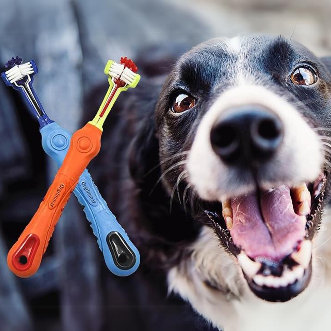 Dreiseitige Haustierzahnbürste für effiziente Zahnpflege bei Hund und Katze, sorgt für gesunde Zähne & frischen Atem.