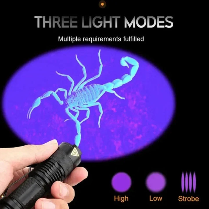 Effizientes Schwarzlicht zur Fleckenerkennung: Diese UV-Taschenlampe enthüllt verborgene Verschmutzungen auf Oberflächen.