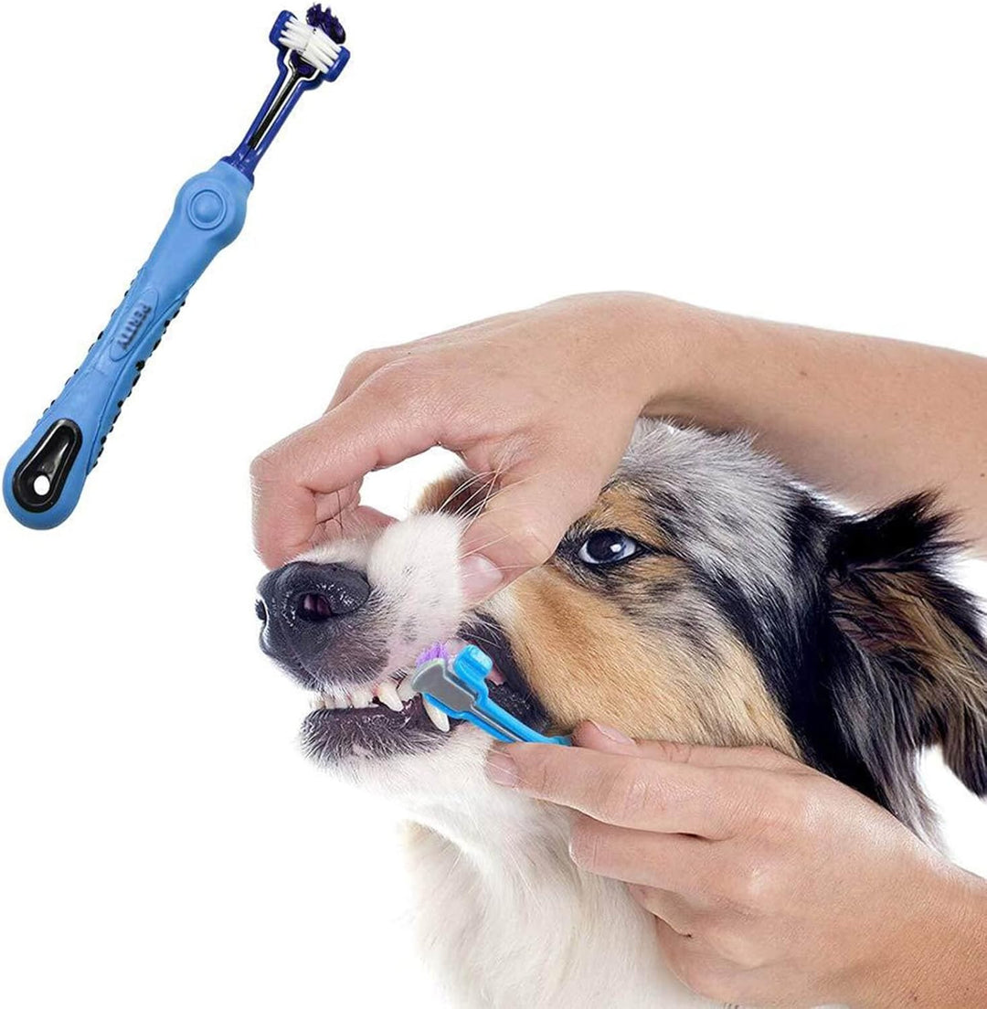 Professionelle Tierzahnbürste zur umfassenden Zahnpflege bei Hunden und Katzen. Bekämpft Zahnstein und sorgt für gesunde Zähne.
