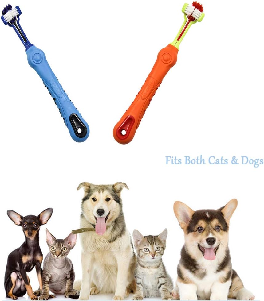 Hundezahnbürste dreiseitig, speziell für Hunde. Reinigt gründlich und fördert gesunde Zähne sowie frischen Atem bei Ihrem Hund.