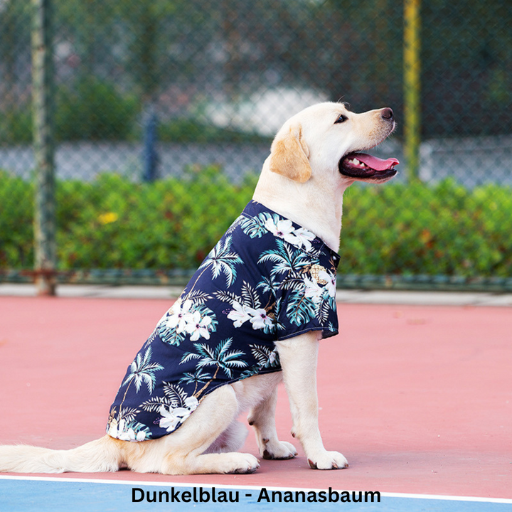 Stilvolles Hawaiihemd für Hunde, tropischer Druck, das perfekte Hunde-Outfit für den Sommer, locker sitzend.
