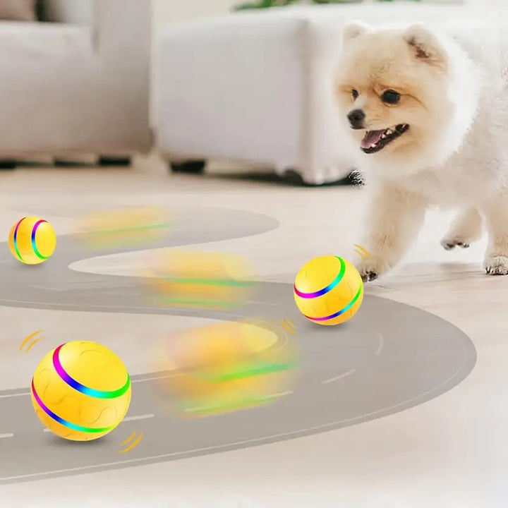 Interaktiver Rollball für Hunde & Katzen in Aktion. Automatisches Hundespielzeug & Katzenspielzeug für Beschäftigung.