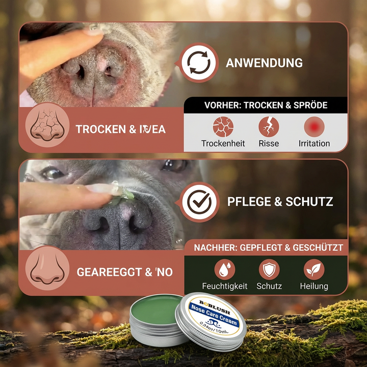 Schnauzenbalsam für Hunde: Pflegt trockene Hundenasen, spendet Feuchtigkeit & schützt empfindliche Haut natürlich.