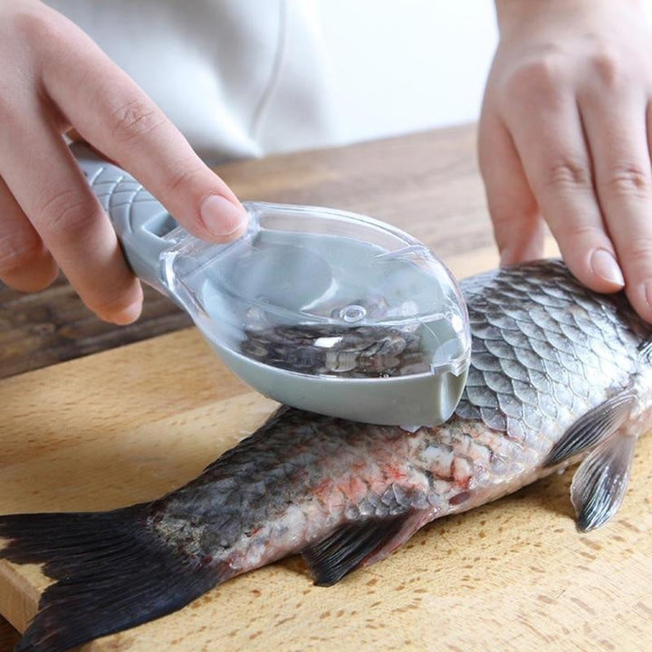 Effiziente Fischschuppenreibe weiß-hellgrün mit integriertem Schuppenfang für sauberes Fischentschuppen.