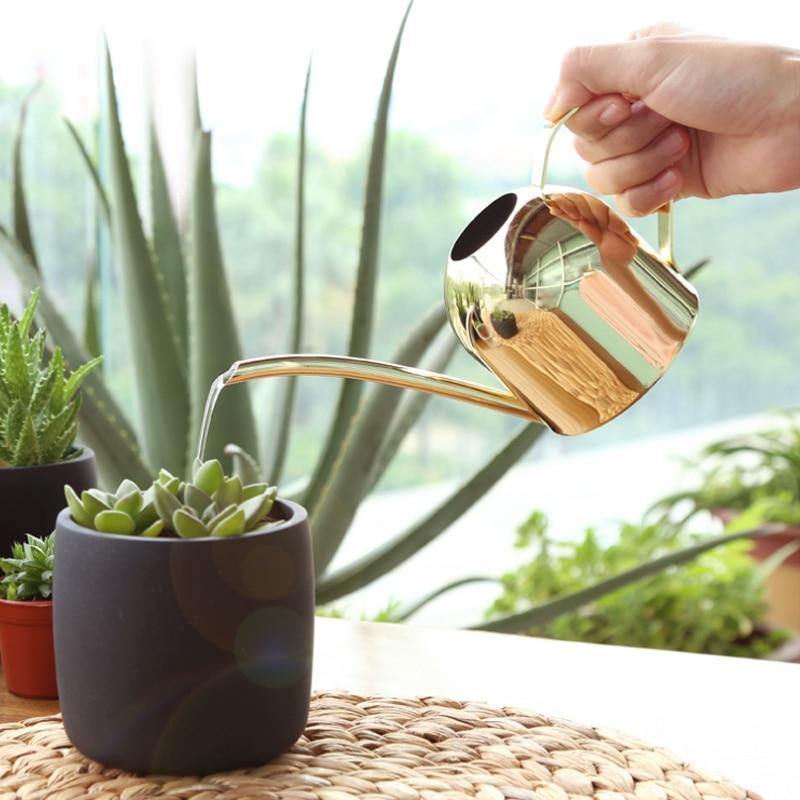 Kompakte Gießkanne 500ml, flexibler Ausguss, perfekt für kleine Pflanzen und präzise Bewässerung.