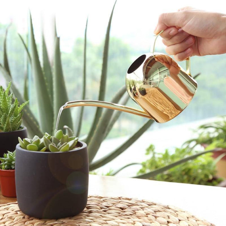 Kompakte Gießkanne 500ml, flexibler Ausguss, perfekt für kleine Pflanzen und präzise Bewässerung.