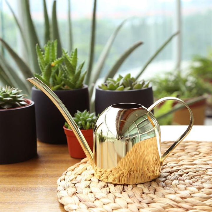 Hochwertige Gießkanne 500ml, flexibler Ausguss für präzises Gießen von Indoor- & Outdoor-Pflanzen.