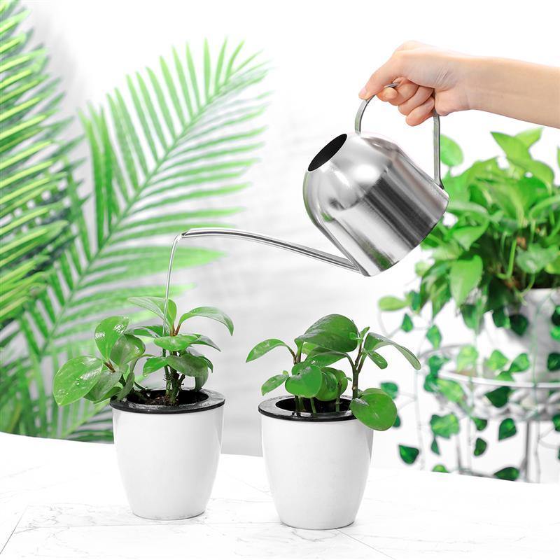 Gießkanne 500ml, flexibler Ausguss, ergonomisches Design für einfache und präzise Pflanzenbewässerung.