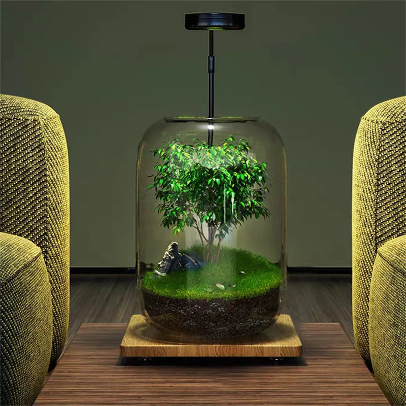 Elegante Glasvase für Mikro-Landschaften, ideal für Sukkulenten und Pflanzen als stilvolle Inneneinrichtung und Tischdeko.