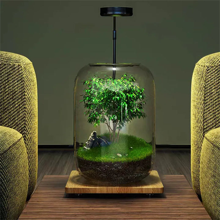 Elegante Glasvase für Mikro-Landschaften, ideal für Sukkulenten und Pflanzen als stilvolle Inneneinrichtung und Tischdeko.