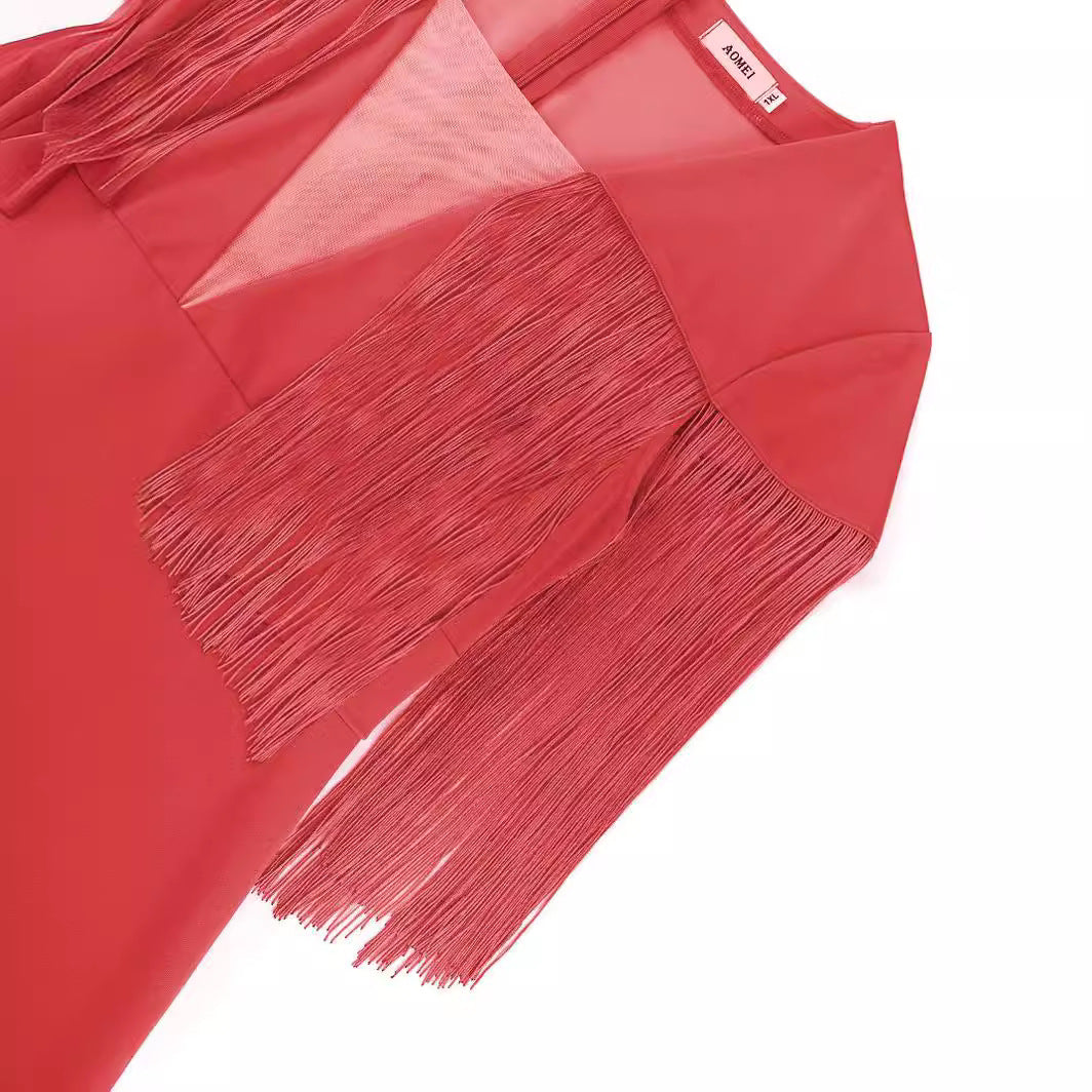 Glamouröses Partykleid für Frauen, figurbetont mit auffälligen Fransendetails.