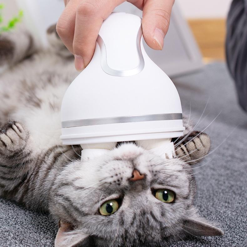 Sanftes Silikon Katzenmassagegerät mit USB-Ladefunktion für beruhigende Kopf- & Gesichtsmassage.