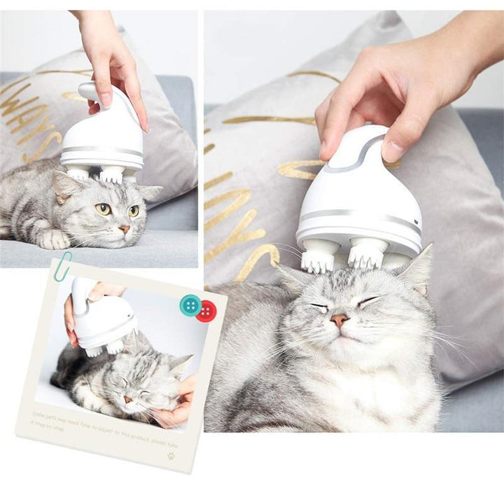 Haustier genießt entspannende Massage mit dem elektrischen Katzenmassager, fördert Wohlbefinden.