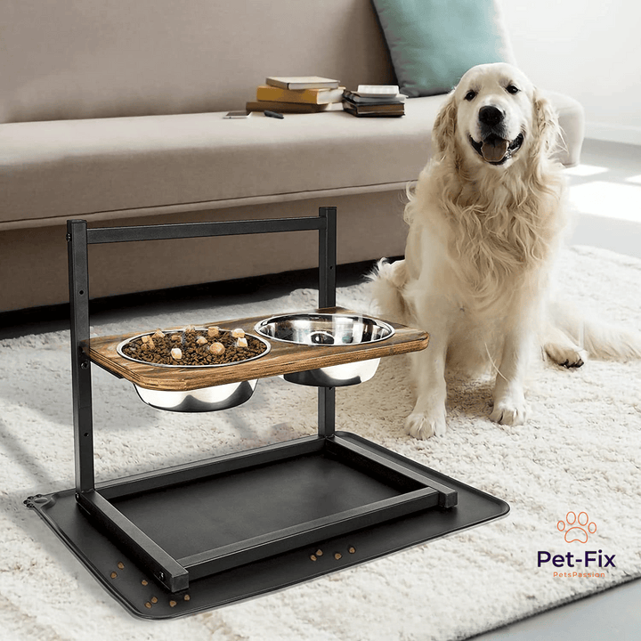 Ergonomische erhöhte Futterstation mit Doppelnäpfen aus Edelstahl, ideal zur Nacken- und Gelenkschonung für Hunde.